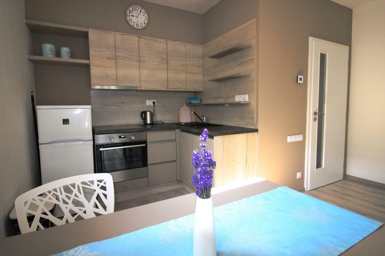 Appartement Apartman Lipno Korzo à Lipno nad Vltavou Extérieur photo