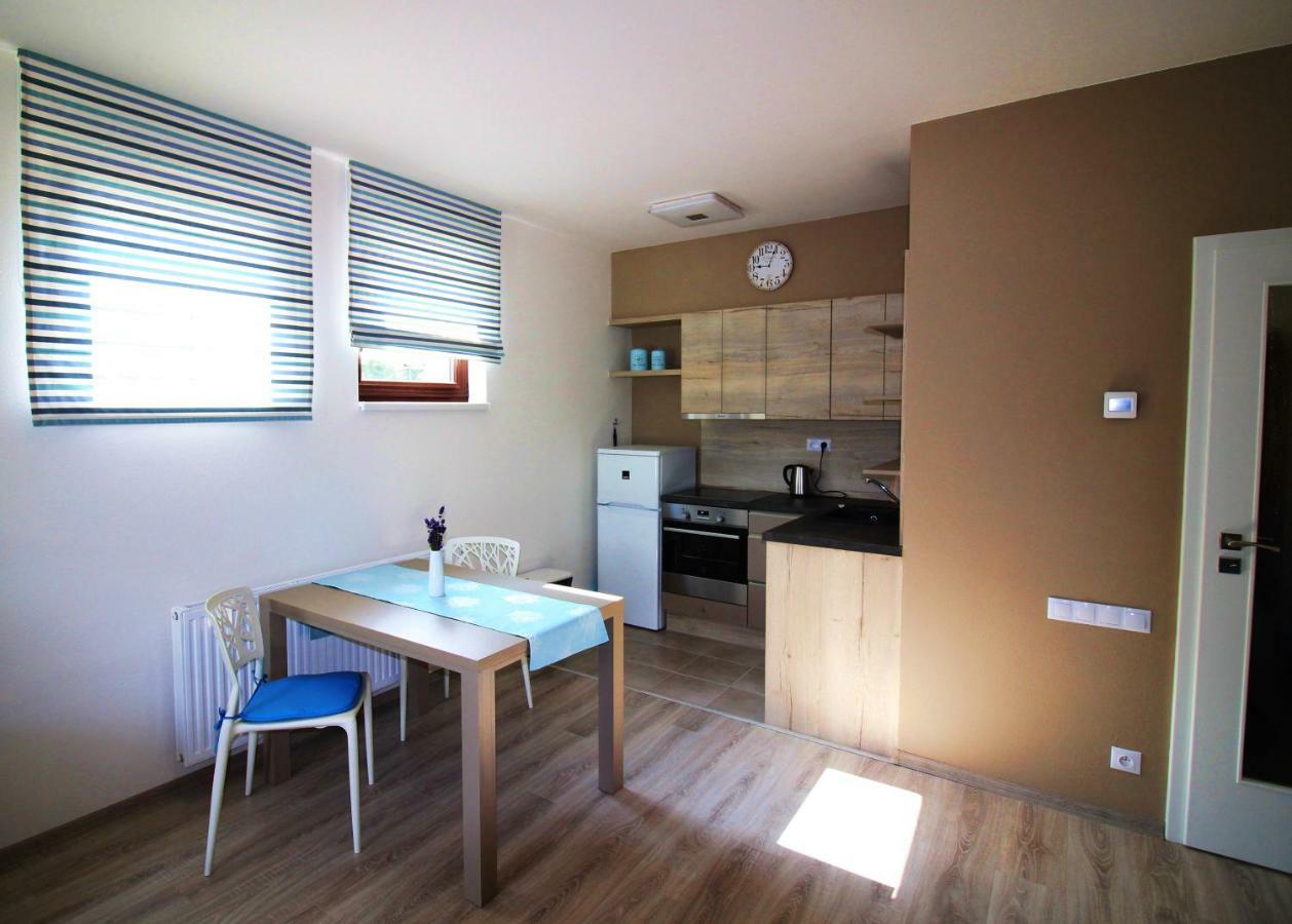 Appartement Apartman Lipno Korzo à Lipno nad Vltavou Extérieur photo